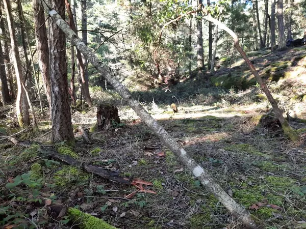 Mudge Island, BC V0V 0V0,Lot 108 Herring Hts