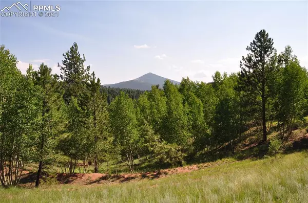 288 Princess RD, Cripple Creek, CO 80813