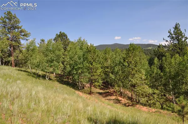 Cripple Creek, CO 80813,288 Princess RD