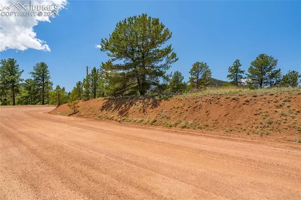 Cripple Creek, CO 80813,49 Bennett DR