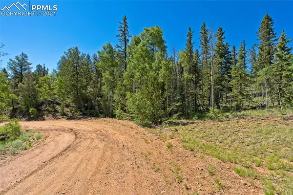 92 Old Squaw RD, Como, CO 80432