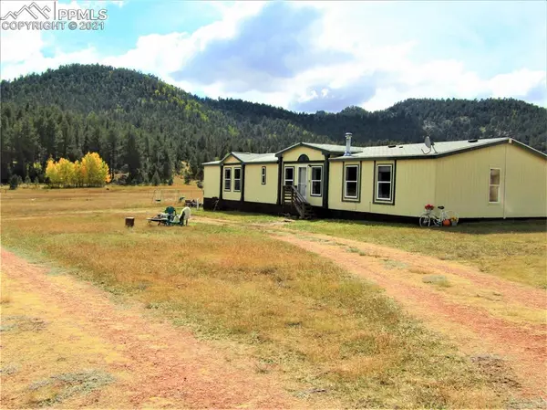 966 County Road 411, Florissant, CO 80816