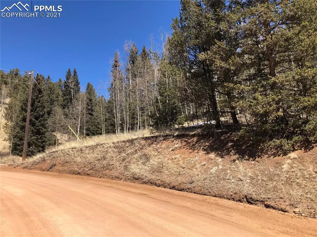 Cripple Creek, CO 80813,708 Wellington DR