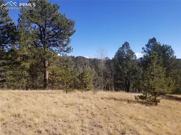 864 WELLINGTON DR, Cripple Creek, CO 80813