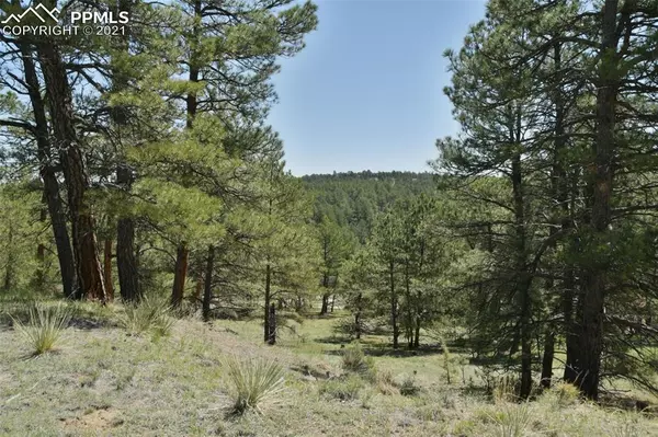 Deer Trail, CO 80105,0000 Onyx TRL