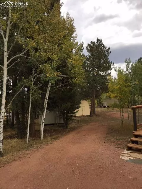 Divide, CO 80814,164 Aspen CIR