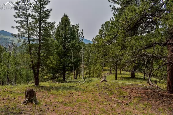 1398 May Queen DR, Cripple Creek, CO 80813