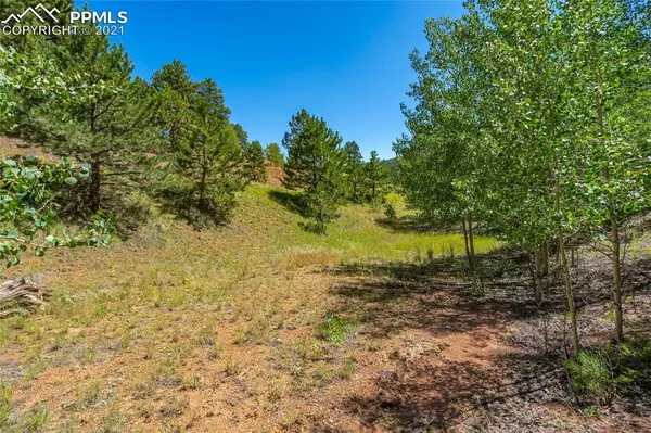 Cripple Creek, CO 80813,158 Rattler CT