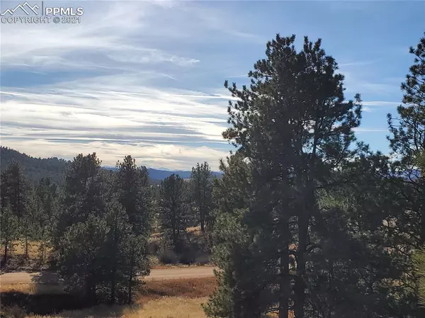 Florissant, CO 80816,51 Cheyenne WAY