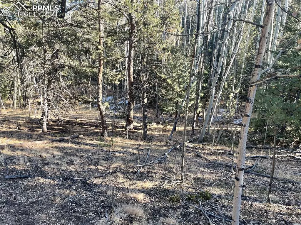 Woodland Park, CO 80863,261 Tillicum TRL