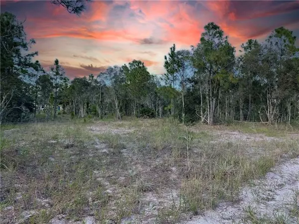 Lehigh Acres, FL 33974,761 Goldrock RD