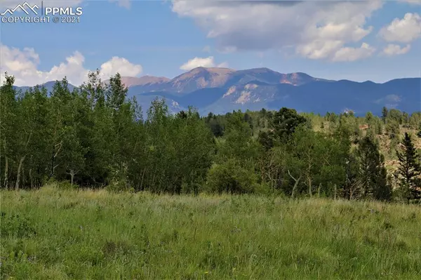 1395 County Road 863, Victor, CO 80860