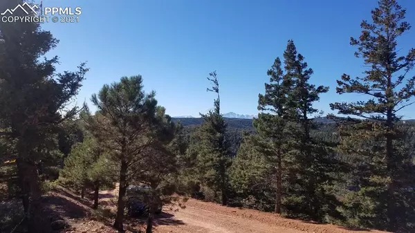 Larkspur, CO 80118,13220 Deer Ridge WAY