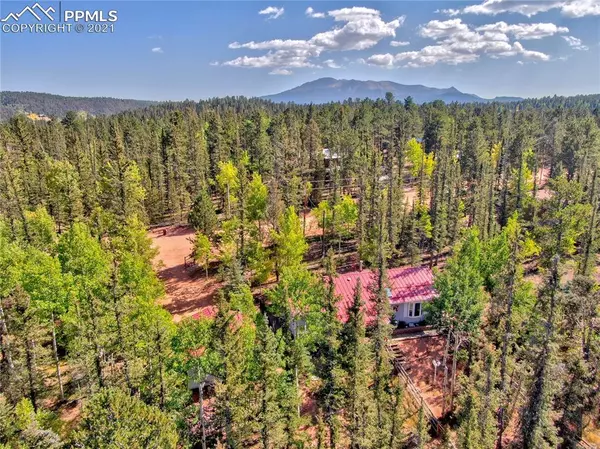 Divide, CO 80814,4075 Omer LN