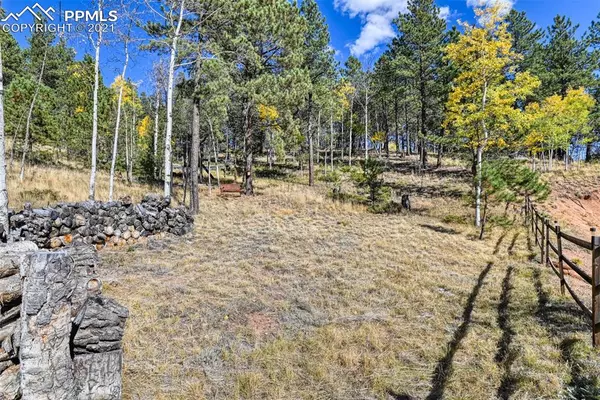 Divide, CO 80814,1011 W Bison Creek TRL