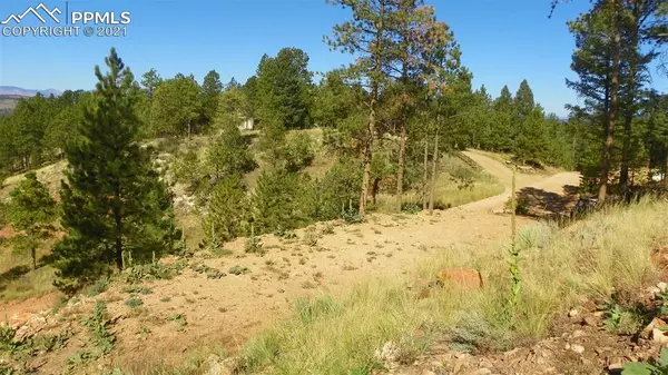 Woodland Park, CO 80863,28 Missouri Gulch RD