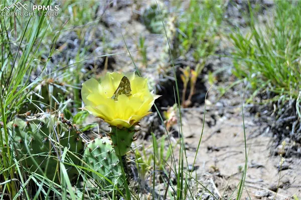 Walsenburg, CO 81089,Unknown CT