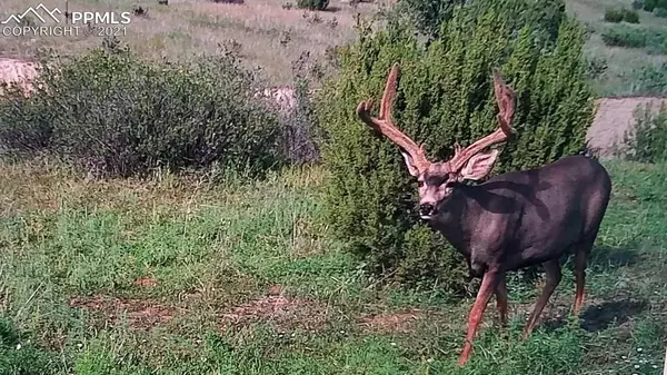 Rock Creek RD, Pueblo, CO 81005