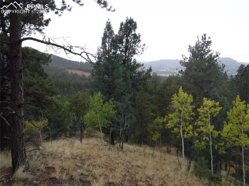 186 Alpine DR, Cripple Creek, CO 80813