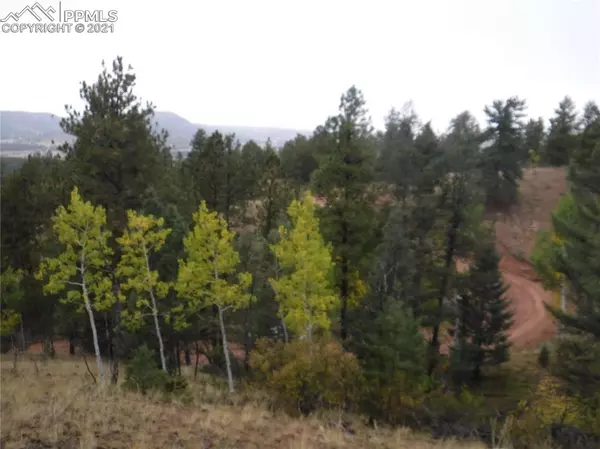 Cripple Creek, CO 80813,186 Alpine DR