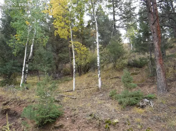 Cripple Creek, CO 80813,186 Alpine DR