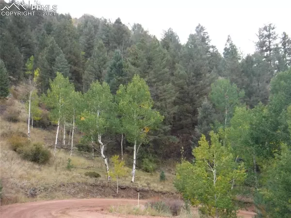 Cripple Creek, CO 80813,186 Alpine DR