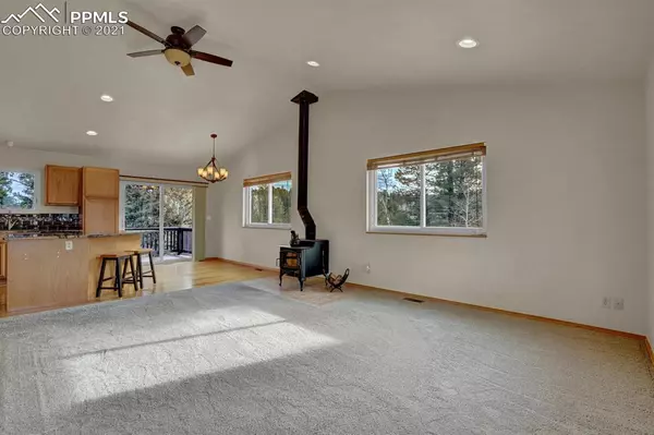 Florissant, CO 80816,374 Gerka LN