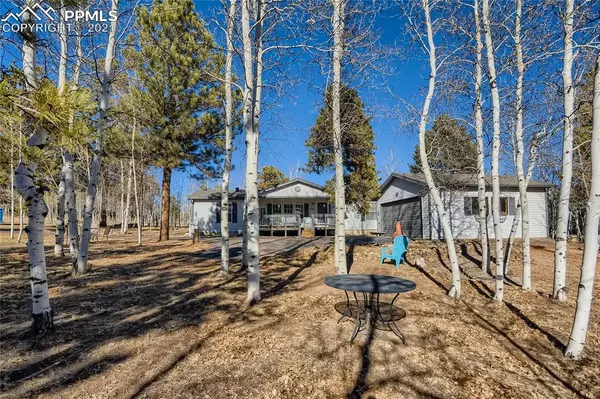 Woodland Park, CO 80863,220 Ranch DR