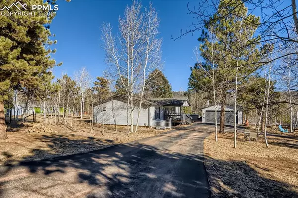 Woodland Park, CO 80863,220 Ranch DR