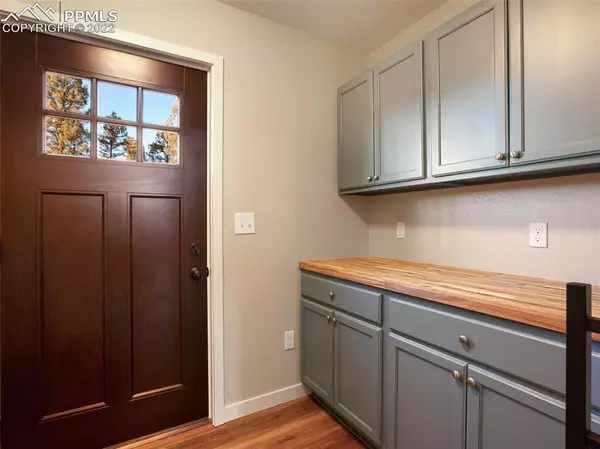 Florissant, CO 80816,110 W Nevada CIR