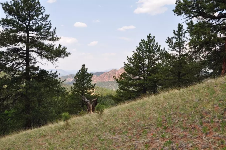 288 Troy DR, Cripple Creek, CO 80813