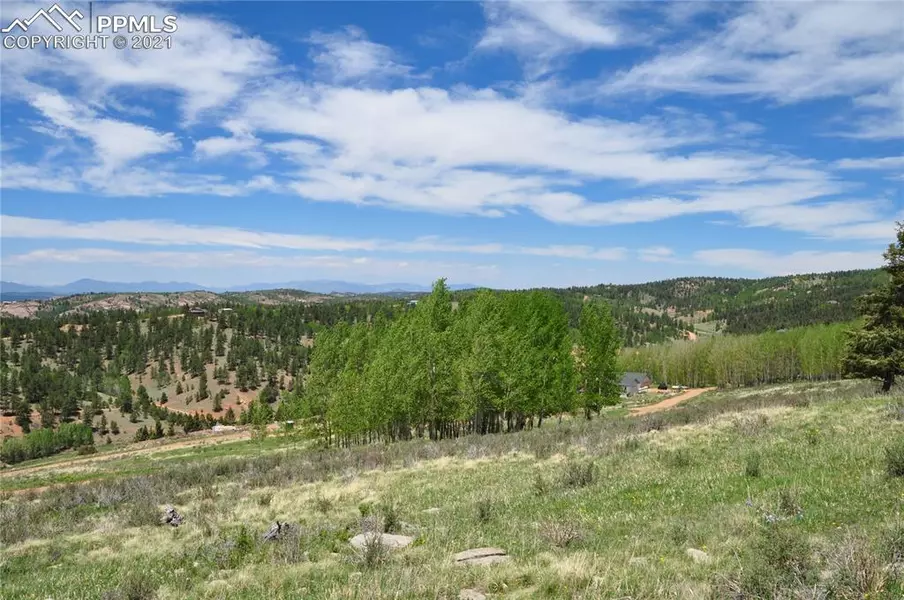 Troy WAY, Cripple Creek, CO 80813