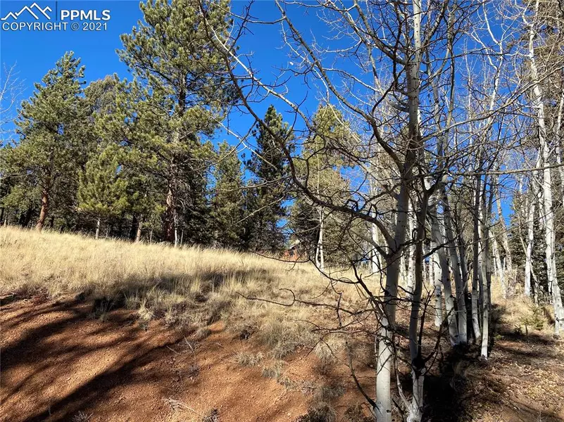 69 Lake CIR, Divide, CO 80814