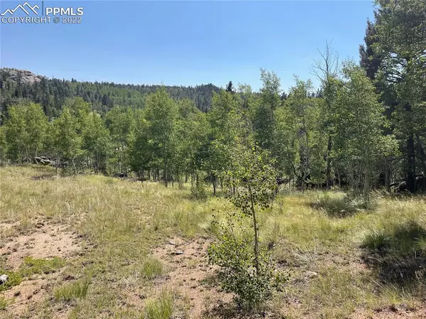 Florissant, CO 80816,148 Cheyenne WAY