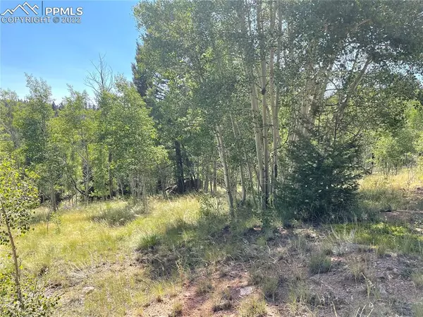 Florissant, CO 80816,148 Cheyenne WAY