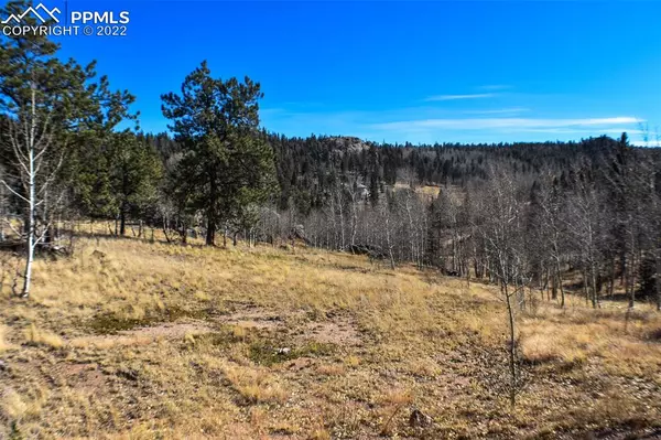 Florissant, CO 80816,148 Cheyenne WAY