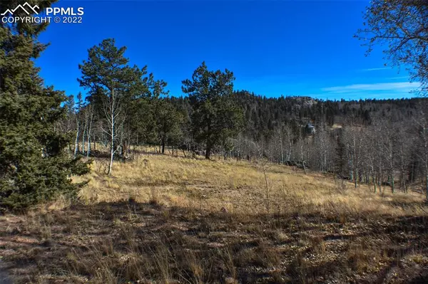 Florissant, CO 80816,148 Cheyenne WAY