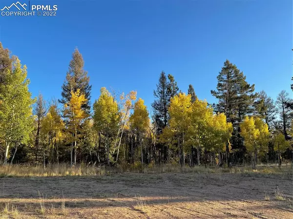 Florissant, CO 80816,126 Cheyenne WAY