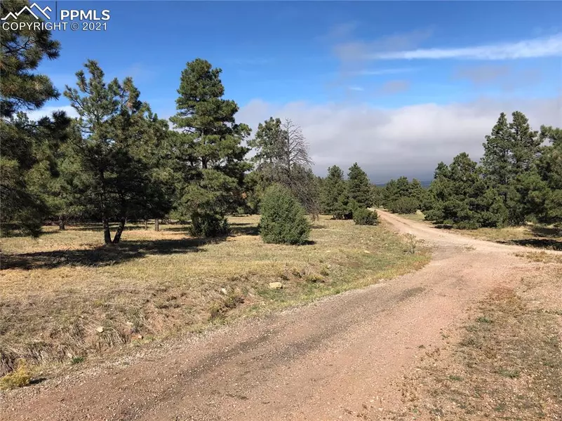 000 Ponderosa Pine DR, Beulah, CO 81023