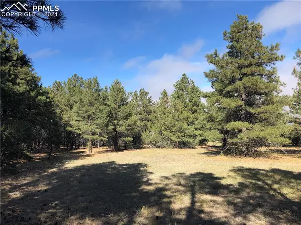 Beulah, CO 81023,000 Ponderosa Pine DR