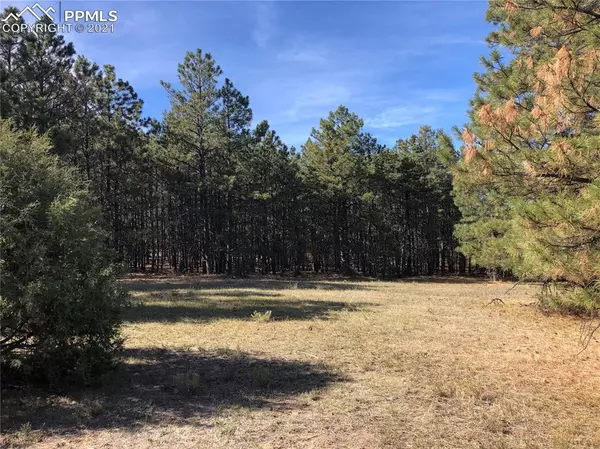 Beulah, CO 81023,000 Ponderosa Pine DR