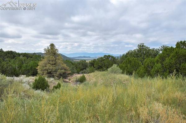 6650 County Road 132, Penrose, CO 81240