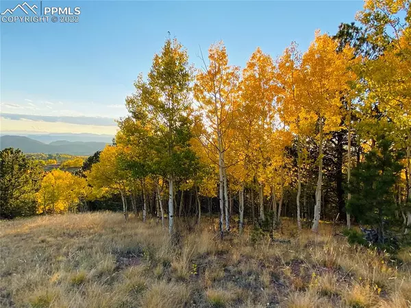 Cripple Creek, CO 80813,197 Andes TER