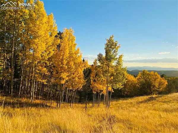 Cripple Creek, CO 80813,197 Andes TER