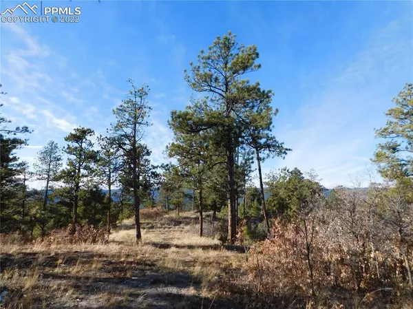 Larkspur, CO 80118,8077 Eagle RD