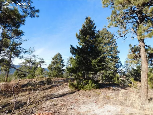 Larkspur, CO 80118,8077 Eagle RD