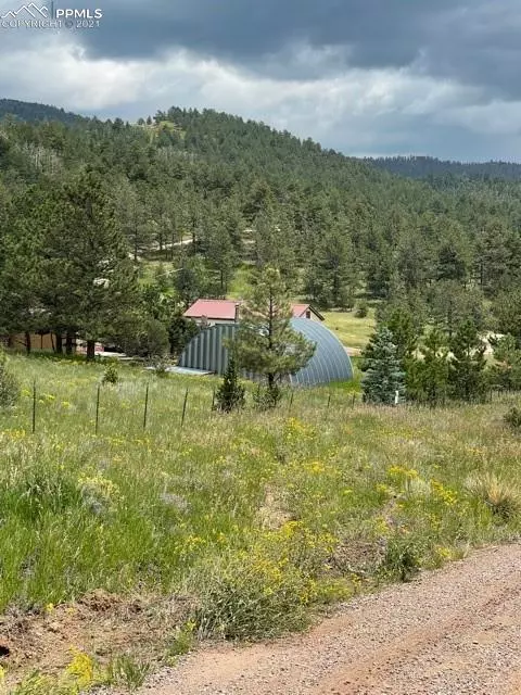 Westcliffe, CO 81252,291 Junkins LOOP