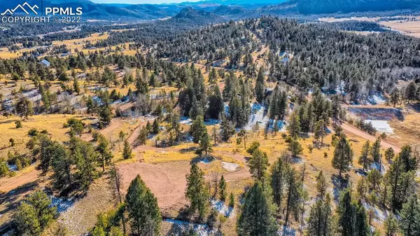 43 Snowshoe WAY, Florissant, CO 80816