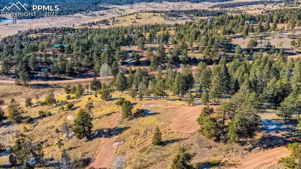 Florissant, CO 80816,43 Snowshoe WAY