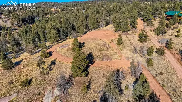 Florissant, CO 80816,43 Snowshoe WAY